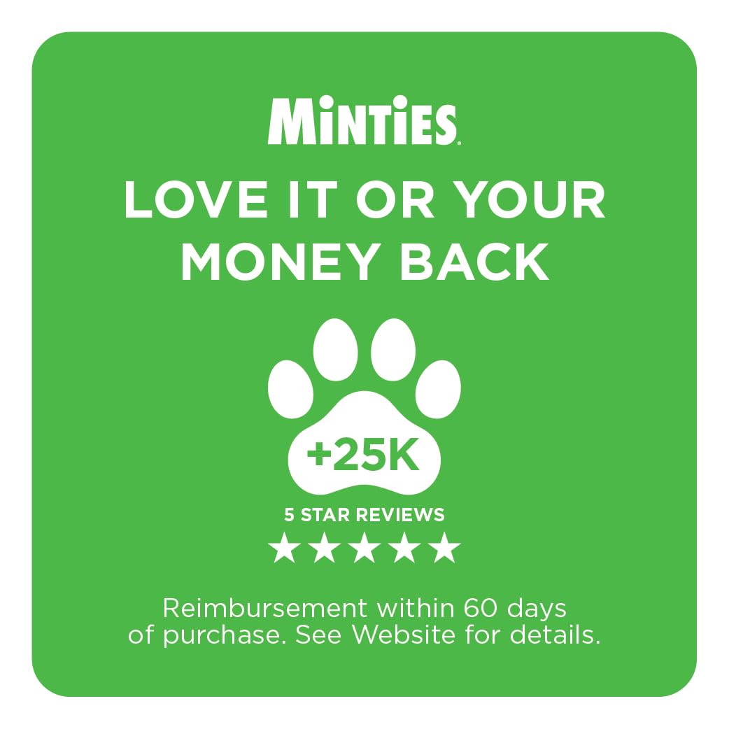Mint Dental Chews for Dogs, 40 Ct Z173134