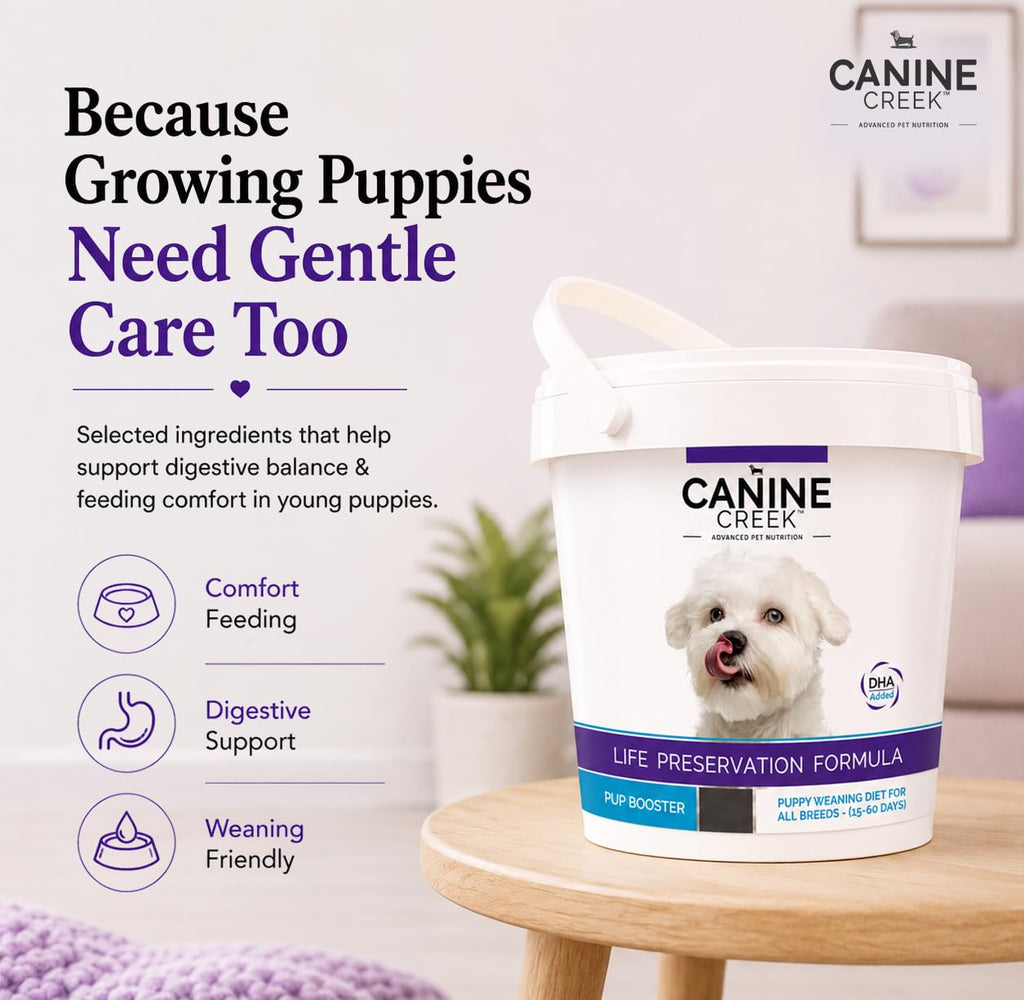 Puppy Weaning Diet 300g/10.5 Ounce I1495