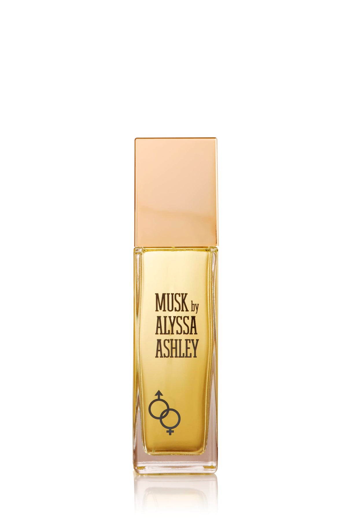 Musk Citrus Sicilian Bergamot 3.4 oz EDT Spray X66977