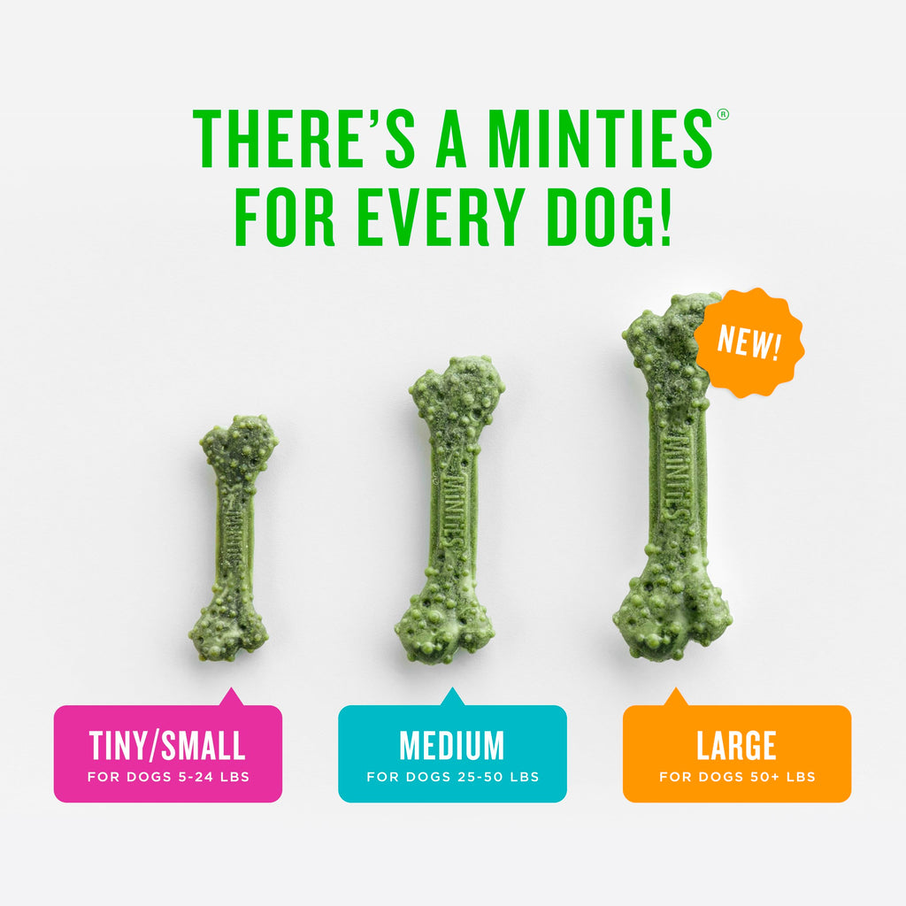 Mint Dental Chews for Dogs, 40 Ct Z173134