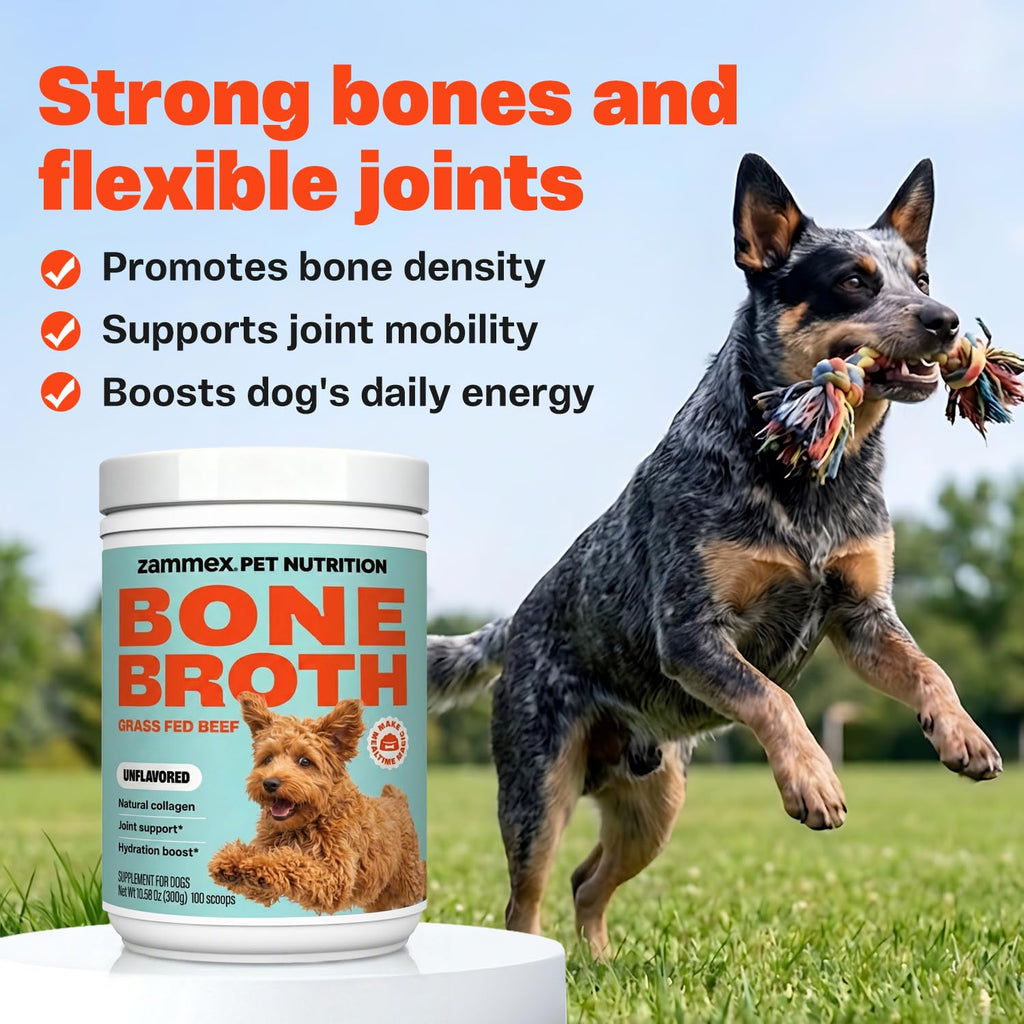 Bone Broth for Dogs U71116