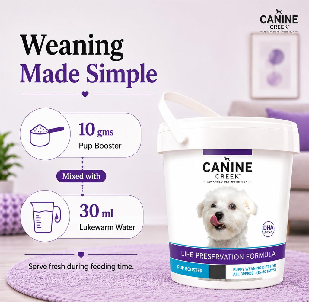 Puppy Weaning Diet 300g/10.5 Ounce I1495