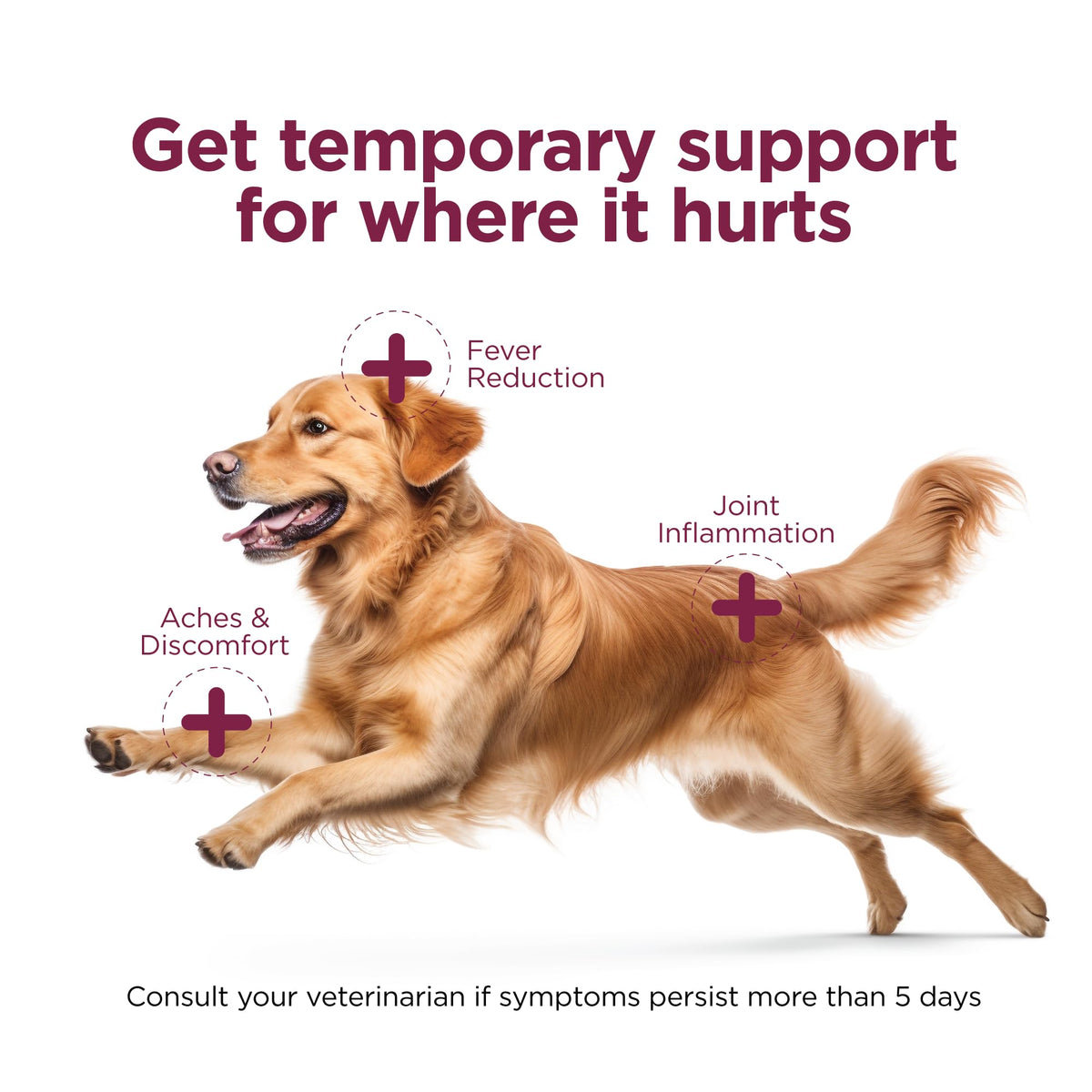 Canine Aspirin 120 ct D557727