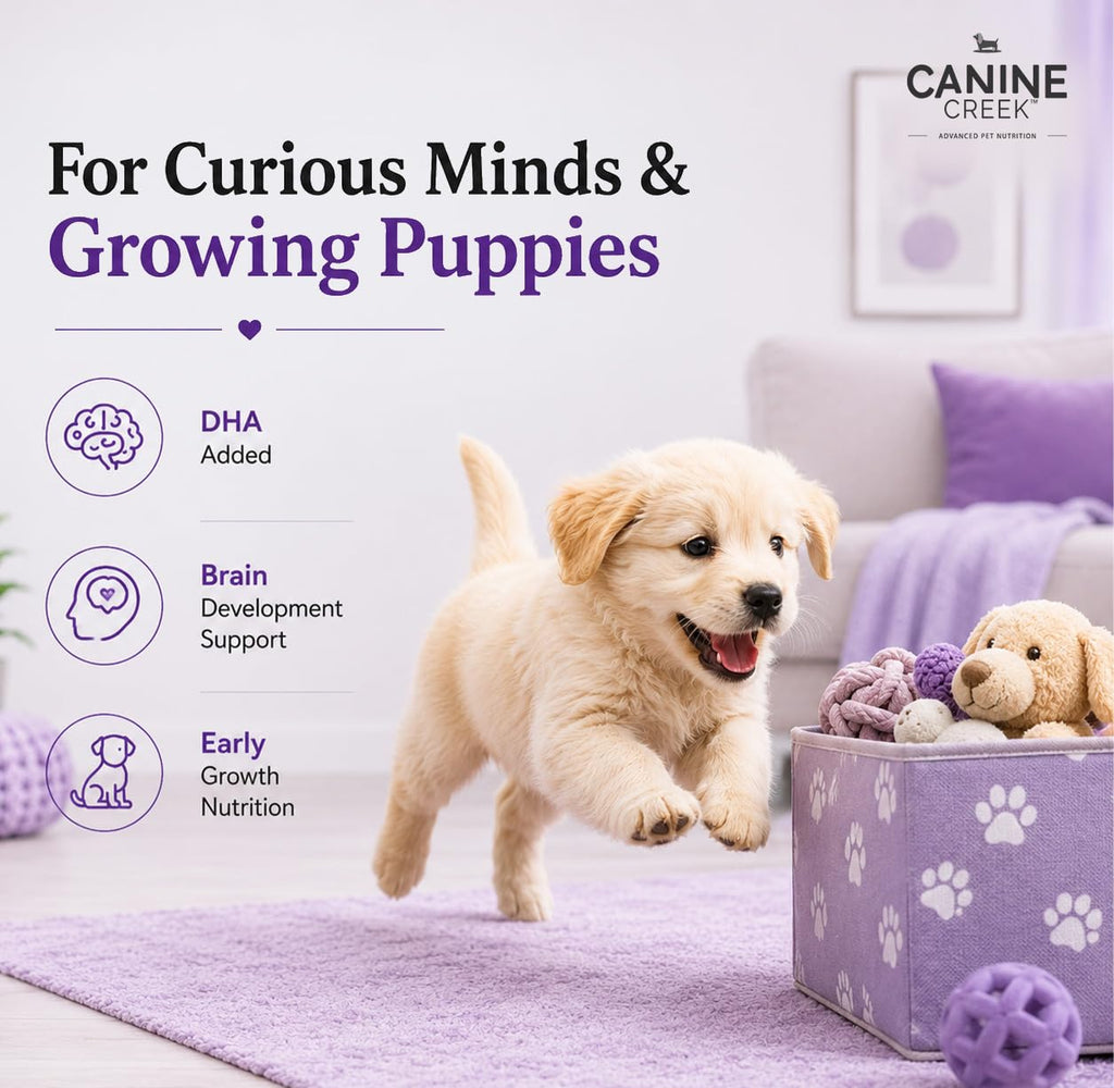 Puppy Weaning Diet 300g/10.5 Ounce I1495