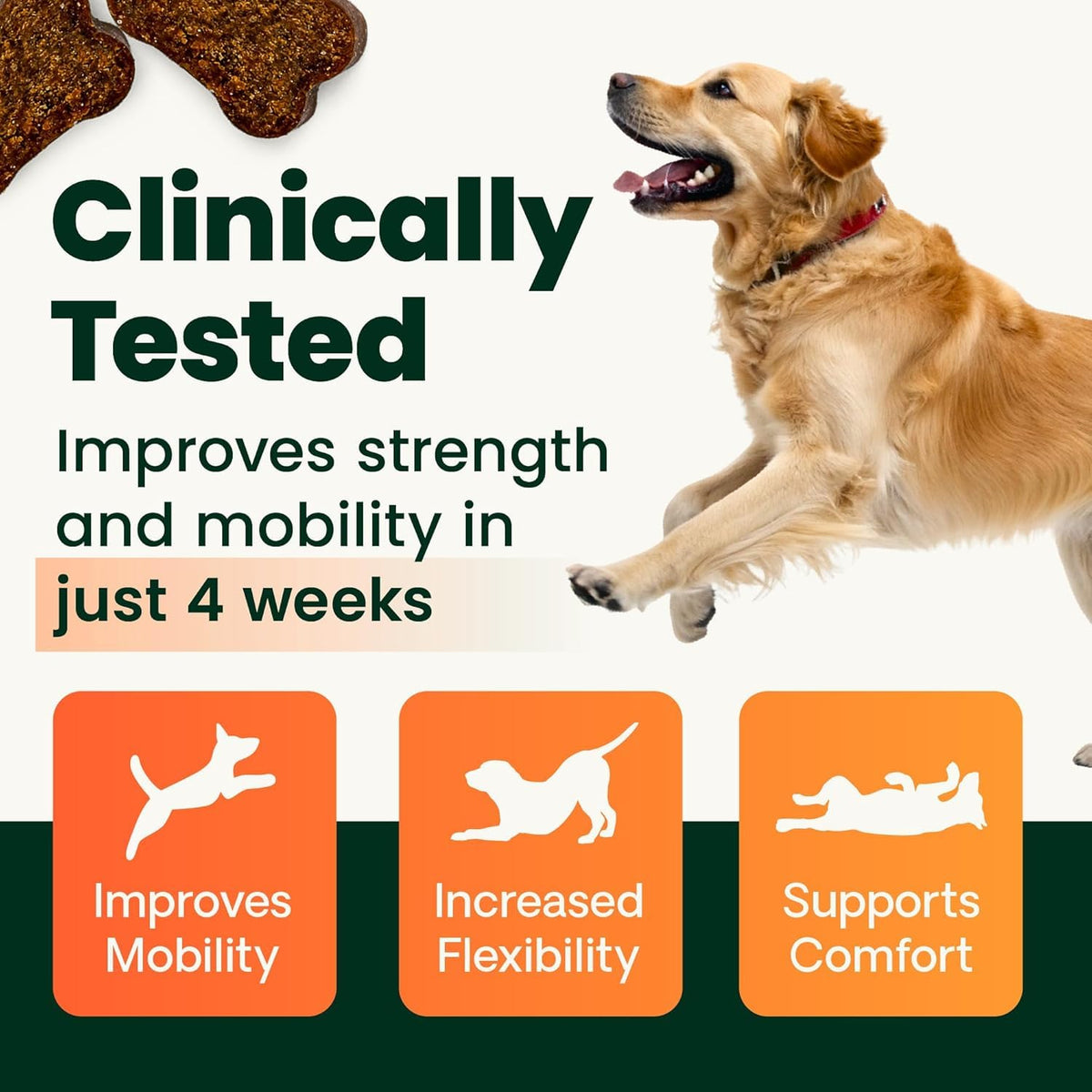 Chicken Hip & Joint Chews for Dogs, 120 Count X3156