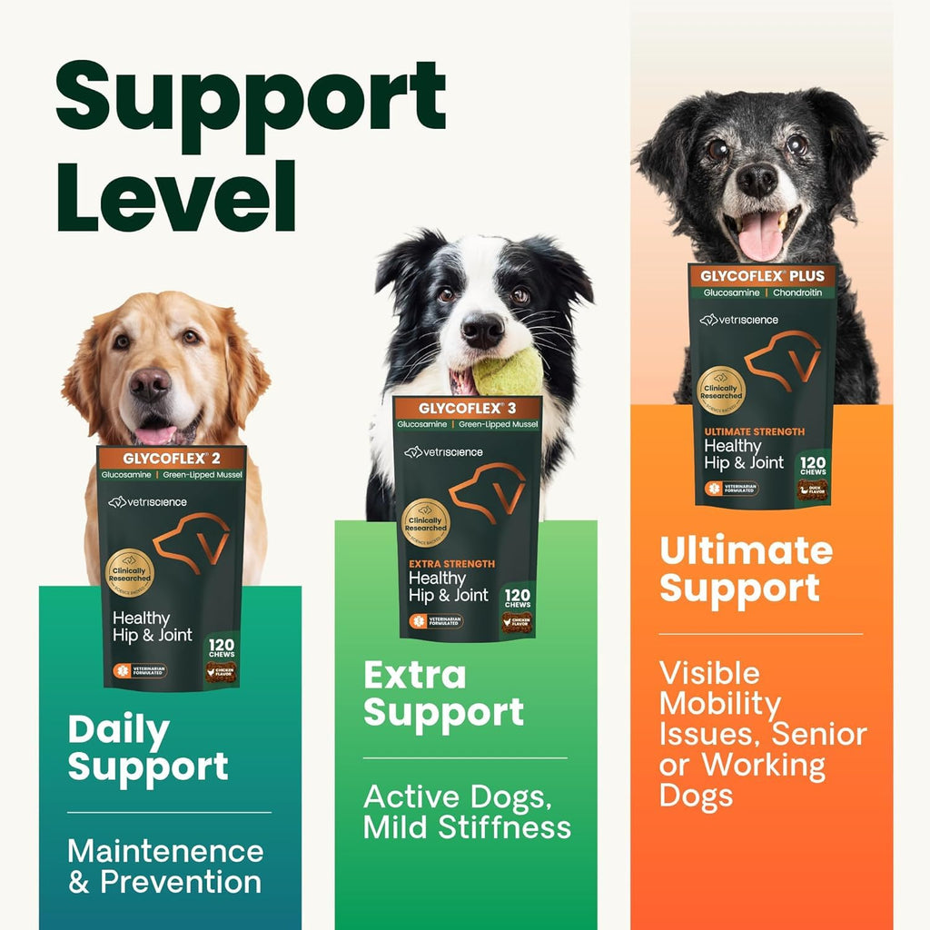Chicken Hip & Joint Chews for Dogs, 120 Count X3156