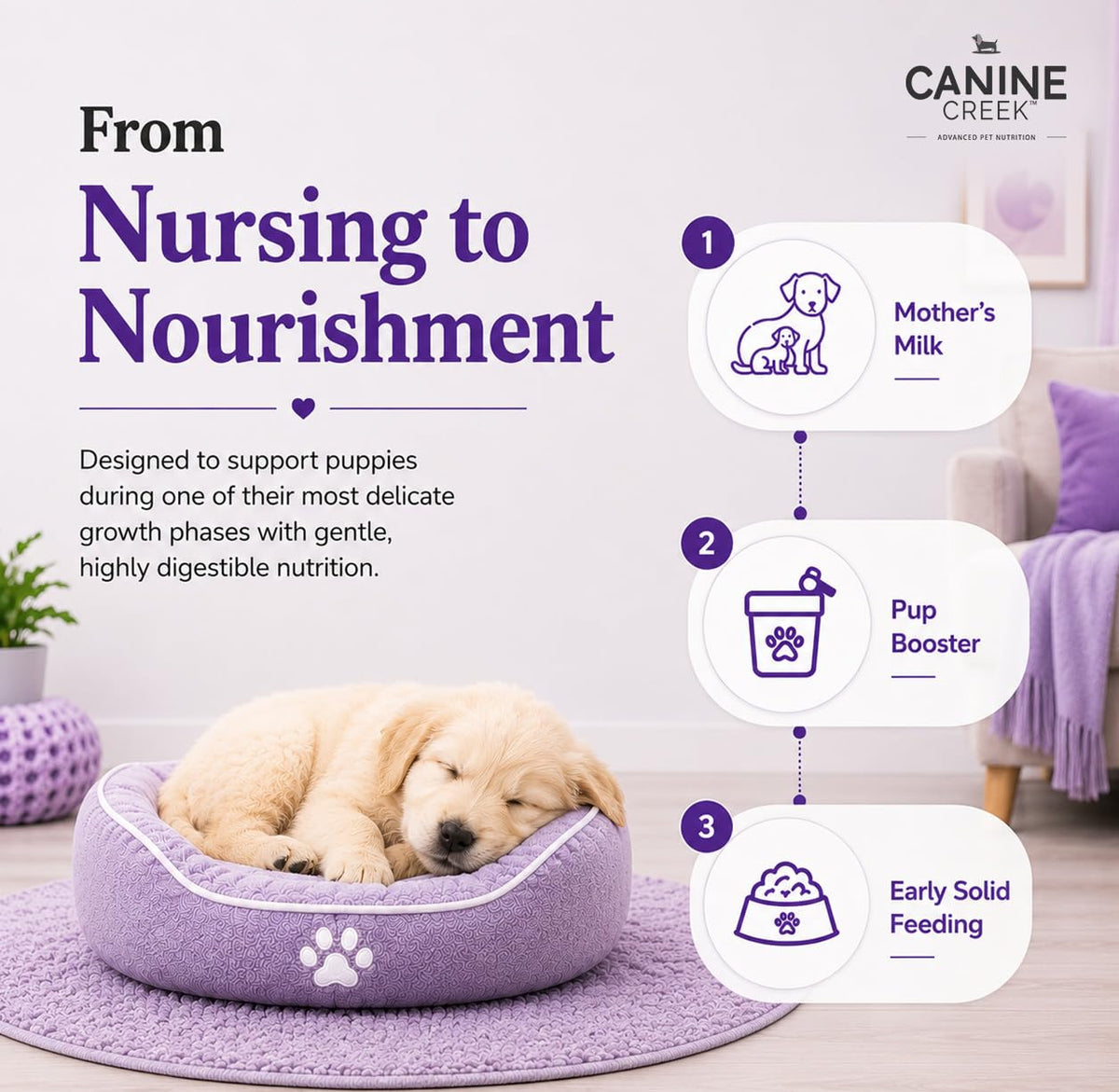 Puppy Weaning Diet 300g/10.5 Ounce I1495