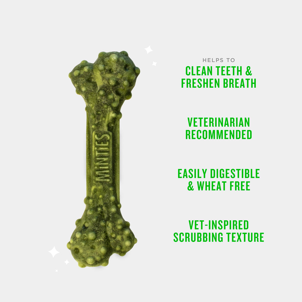 Mint Dental Chews for Dogs, 40 Ct Z173134