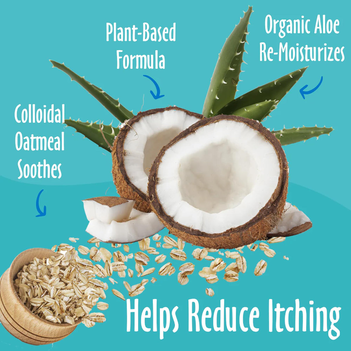 Oatmeal & Aloe Conditioner 16 Oz F7162