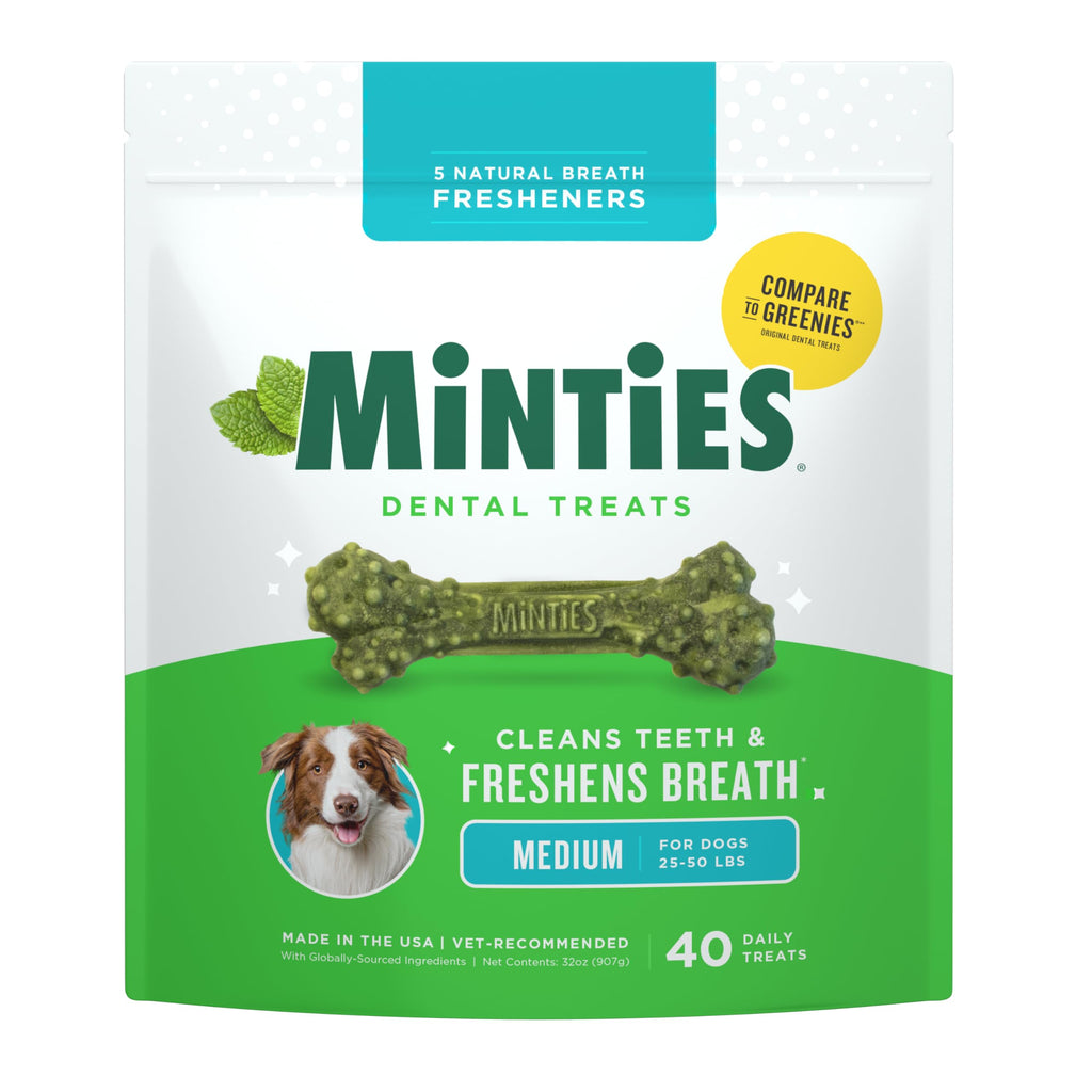Mint Dental Chews for Dogs, 40 Ct Z173134