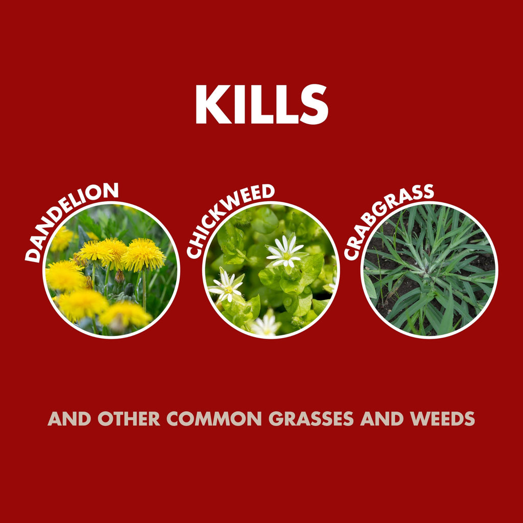 Weed and Grass Killer Concentrate 32 Oz R49133