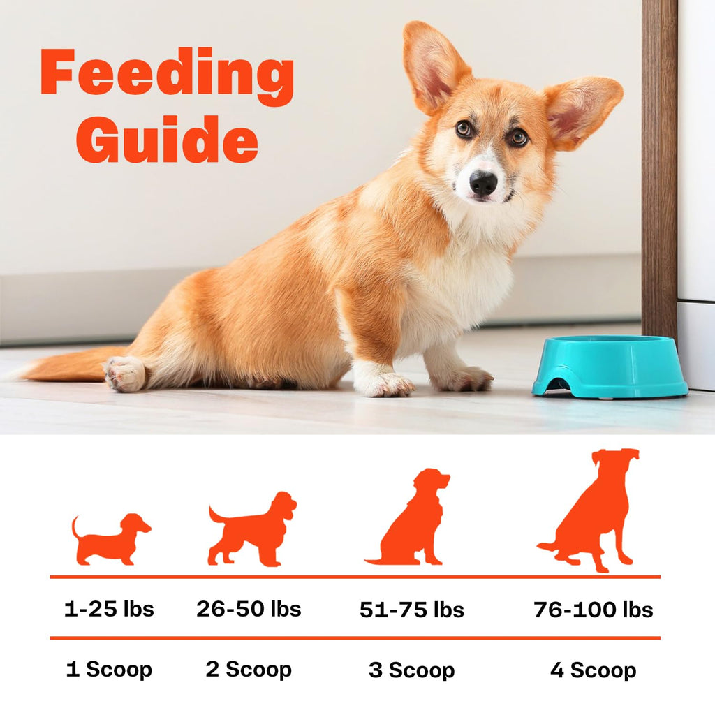 Bone Broth for Dogs U71116