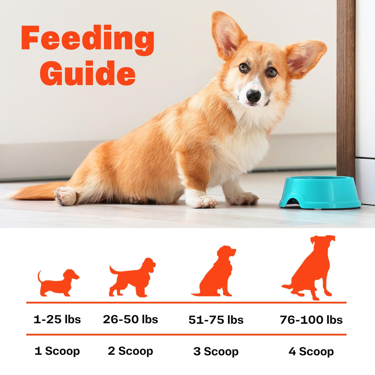 Bone Broth for Dogs U71116