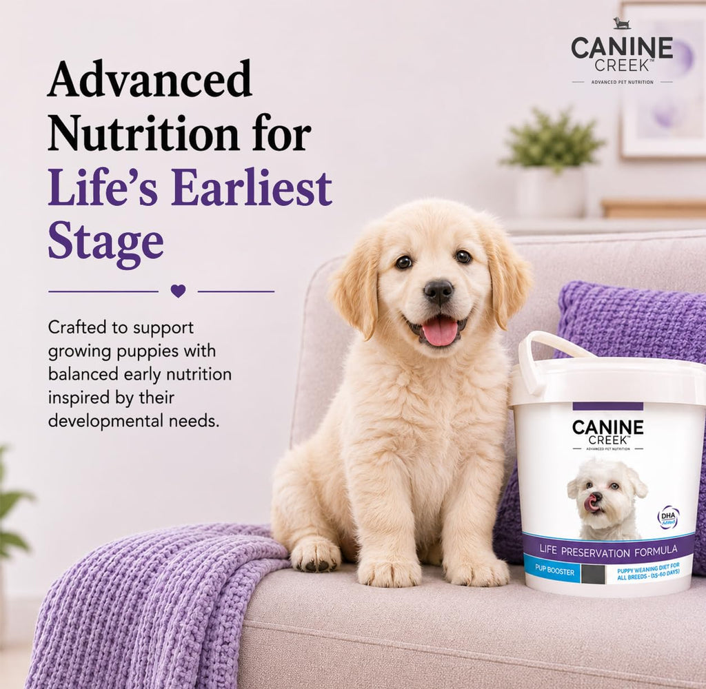 Puppy Weaning Diet 300g/10.5 Ounce I1495