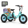 16 Inch Electric Tricycle A1186