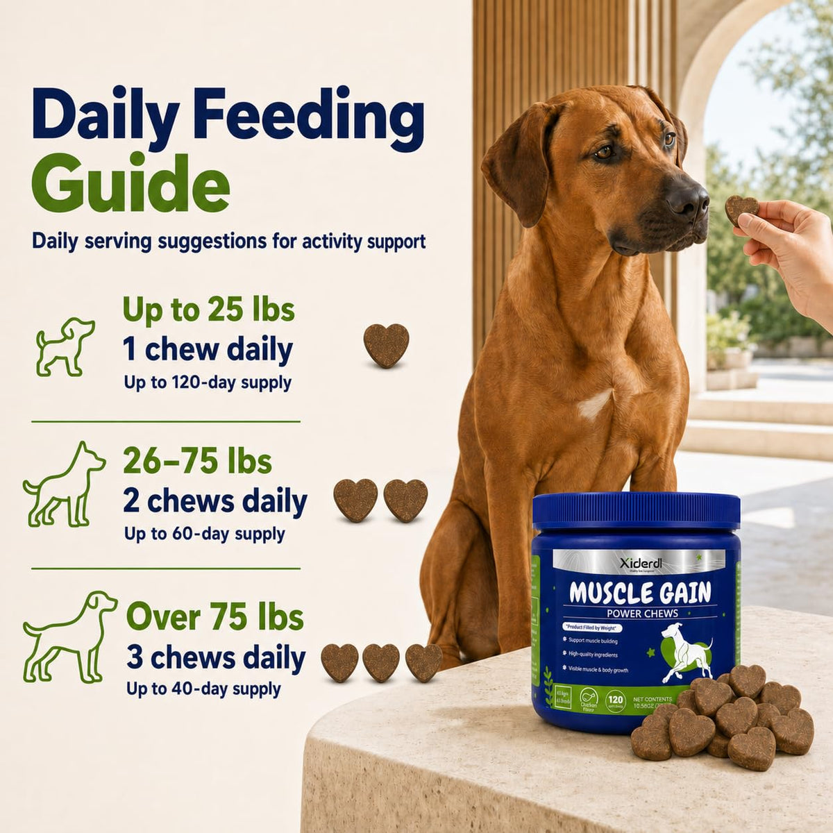 High Protein Muscle Support Soft Chews for Dogs, 120 Count U695944