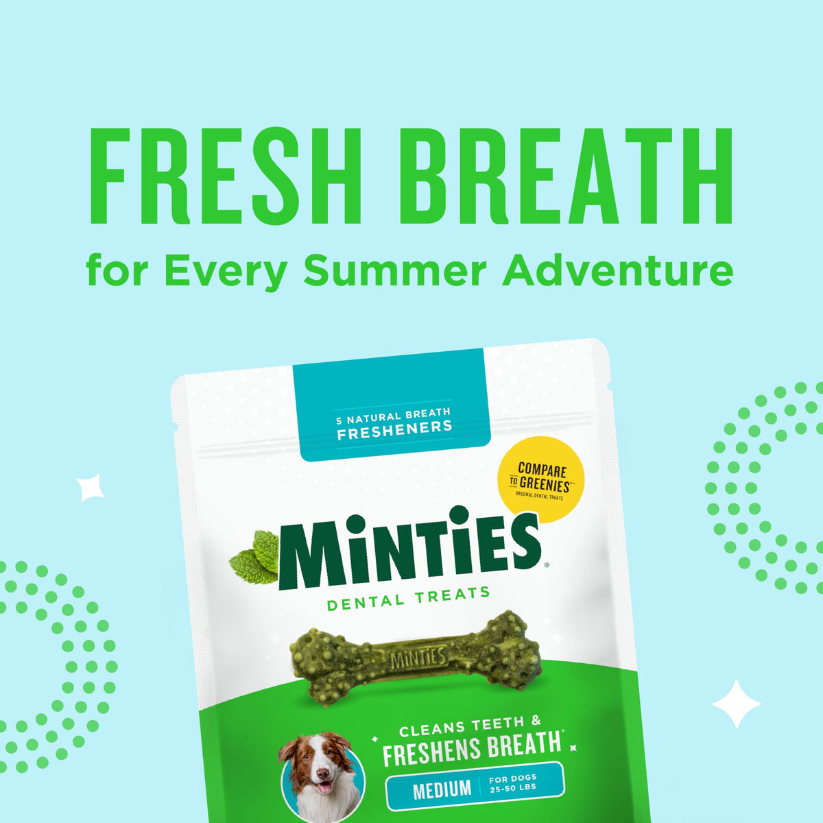 Mint Dental Chews for Dogs, 40 Ct Z173134