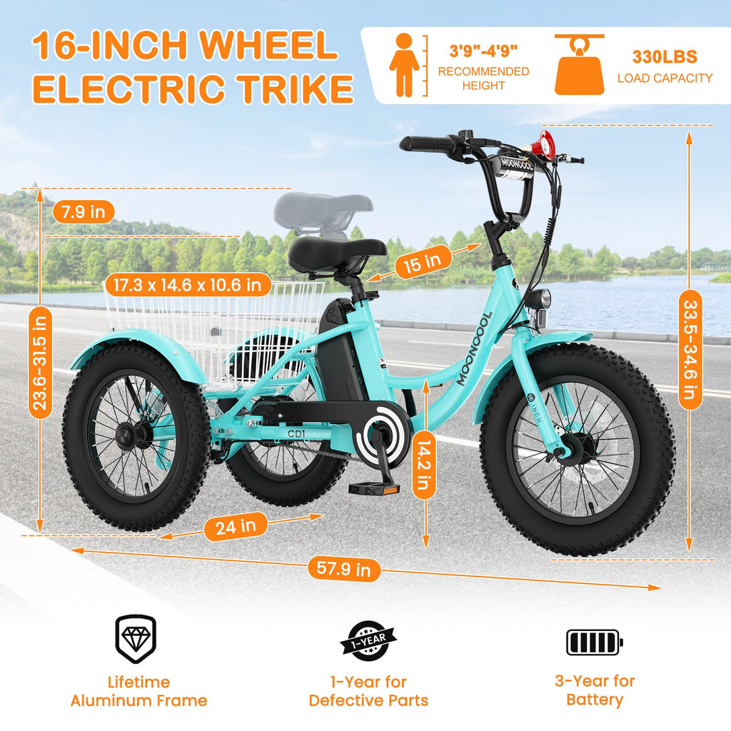 16 Inch Electric Tricycle A1186