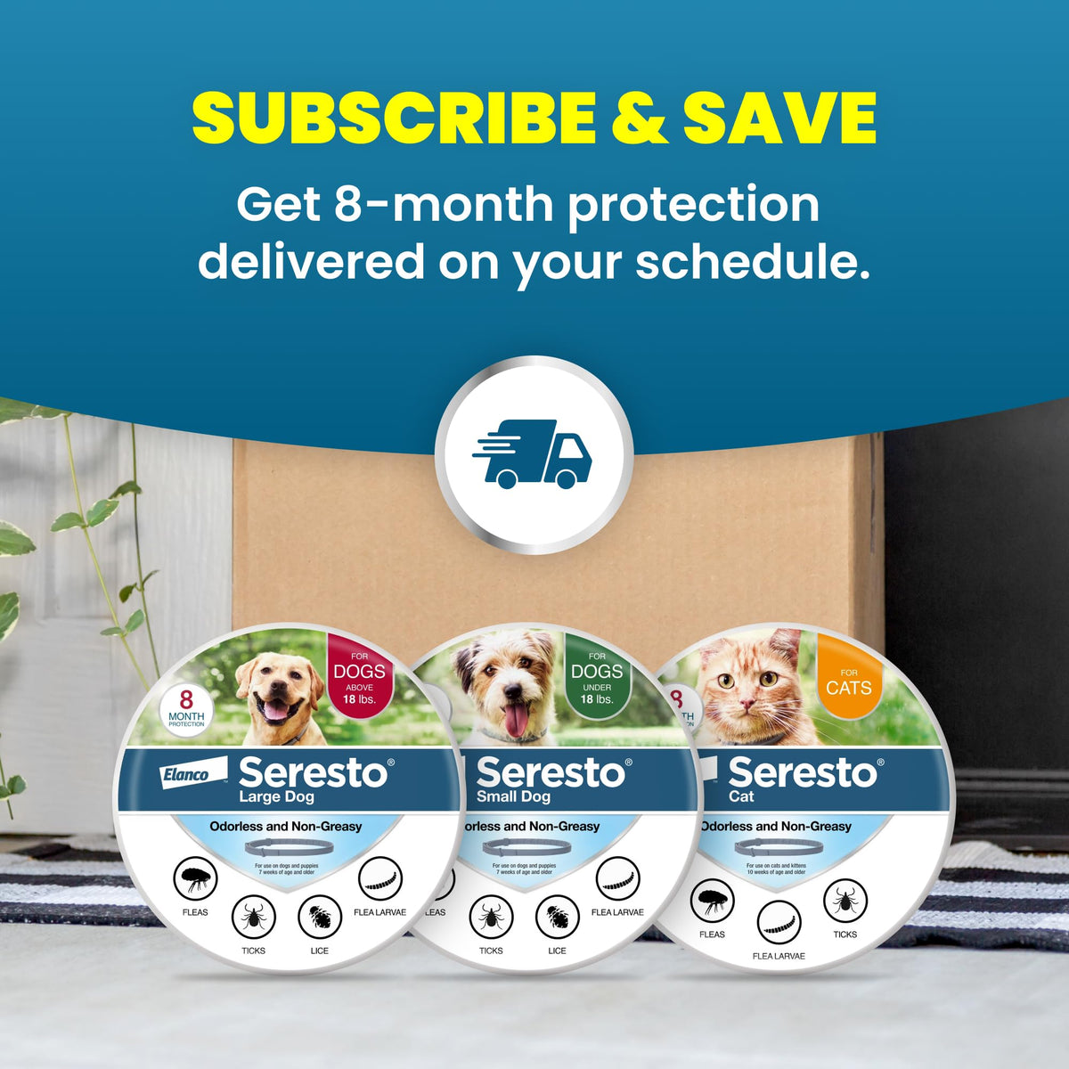 Flea & Tick Treatment & Prevention Collar for Cats X7825