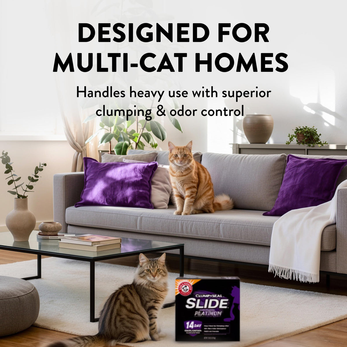 Clumping Cat Litter, 37 Lbs J79207