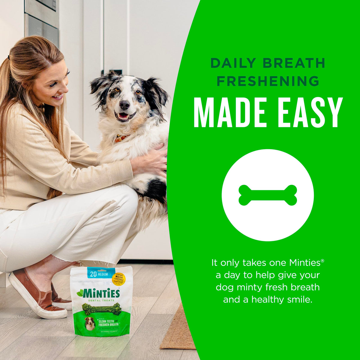 Mint Dental Chews for Dogs, 40 Ct Z173134