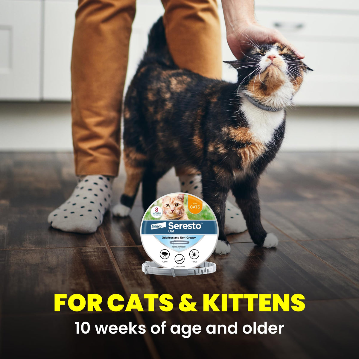 Flea & Tick Treatment & Prevention Collar for Cats X7825