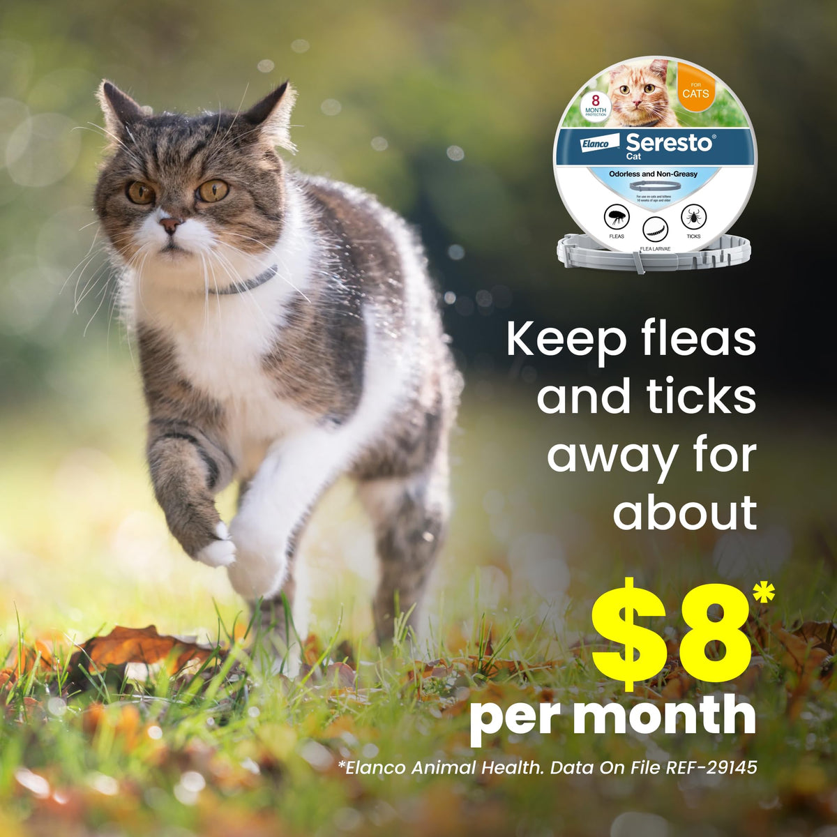 Flea & Tick Treatment & Prevention Collar for Cats X7825