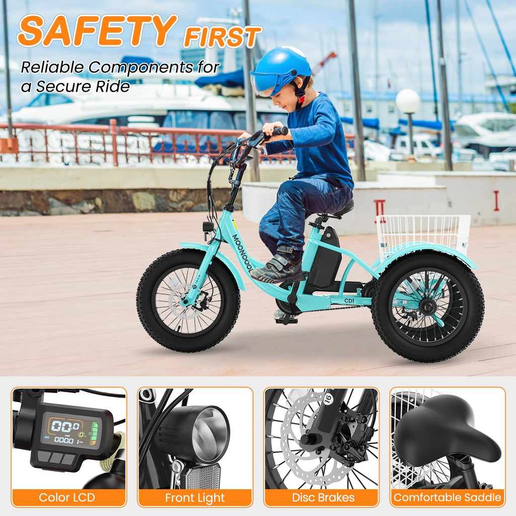 16 Inch Electric Tricycle A1186