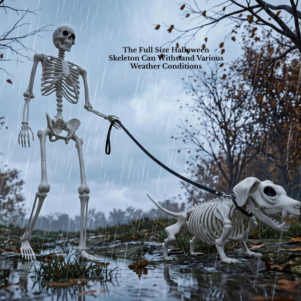 5.4FT Posable Skeleton O8919
