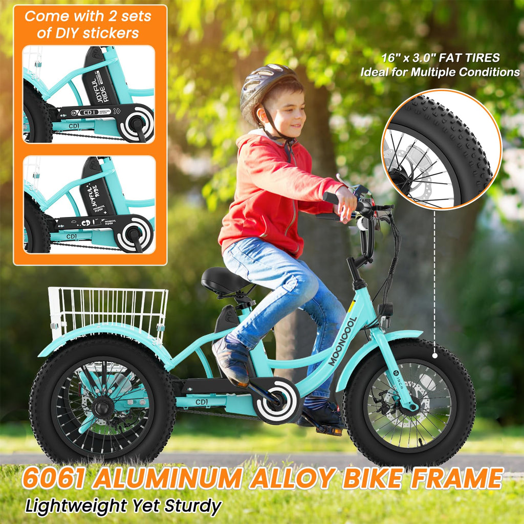 16 Inch Electric Tricycle A1186