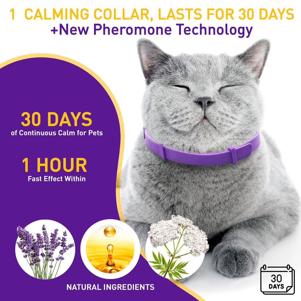 4 Pack Adjustable Water Resistant Calming Collar for Cats U511