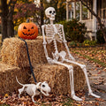 5.4FT Posable Skeleton O8919